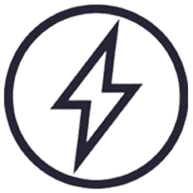 厦门狮子影业Logo